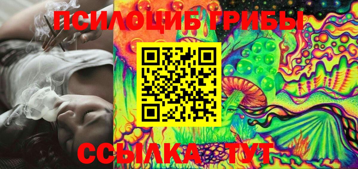 Сердобск  Псилоцибиновые грибы Psilocybine cubensis  Вход с VPN 