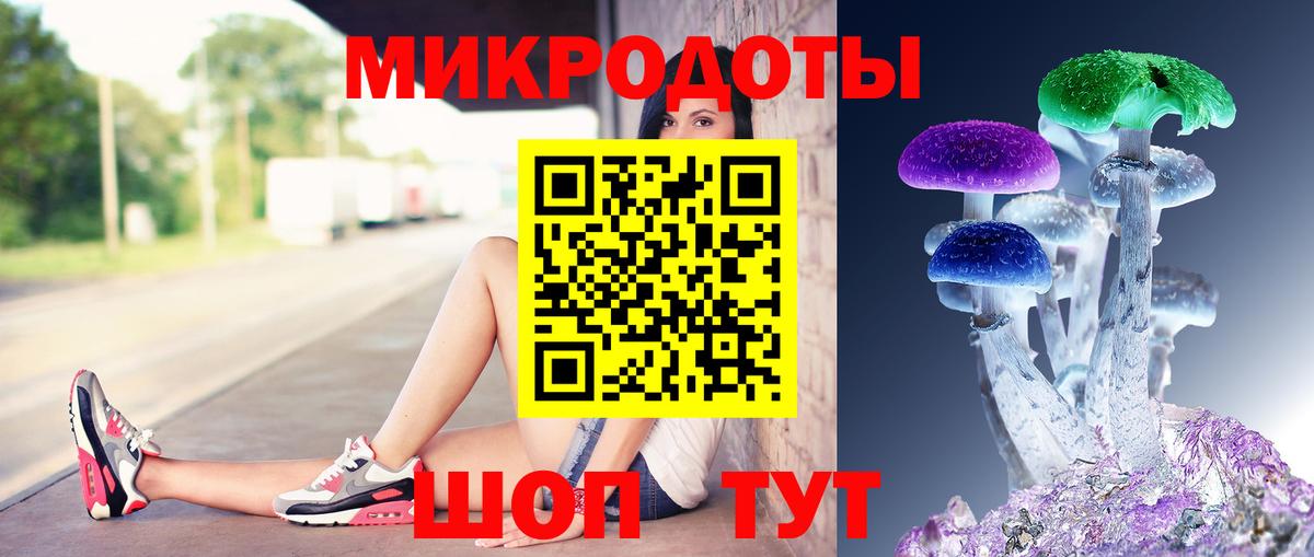 Псилоцибиновые грибы мицелий Сердобск